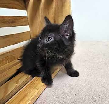 Photo of Wednesday