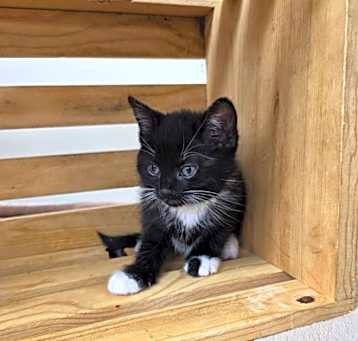 Photo of Tuesday