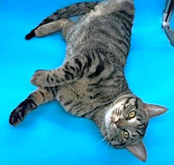 Photo of Sugar
