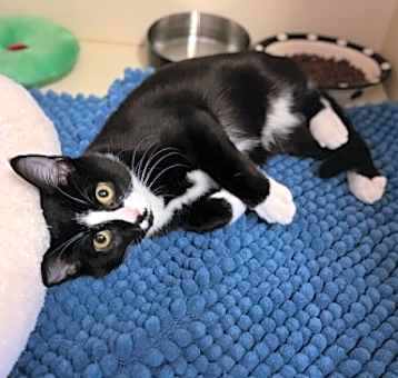 Photo of Matilda