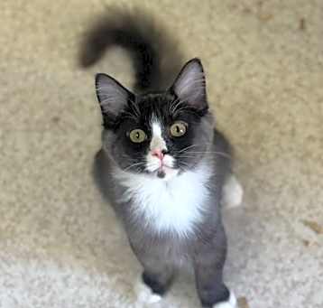 Photo of Bingo