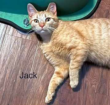 Photo of Jack