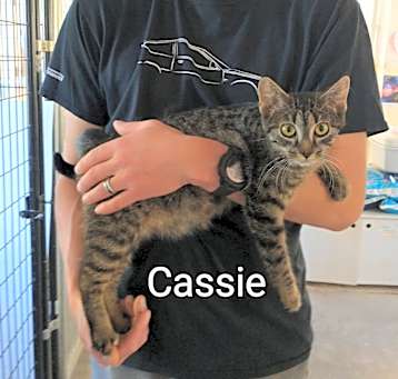 Photo of Cassie