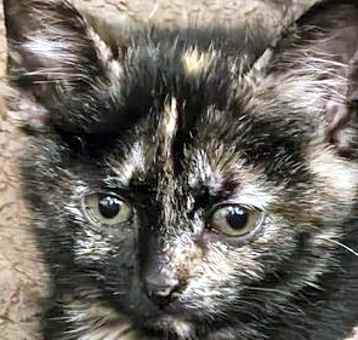 Photo of Esther