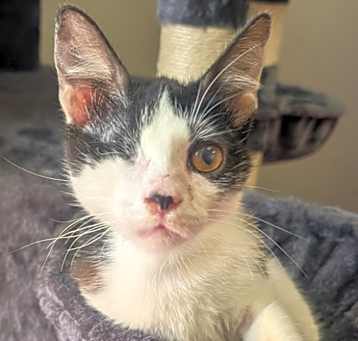 Photo of Theo