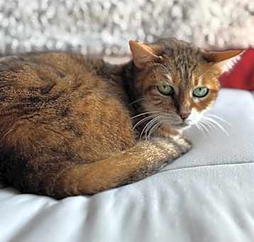 Photo of Nimie