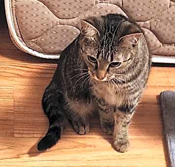 Photo of Esther
