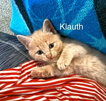 Photo of Klauth, The Red Dragon 2