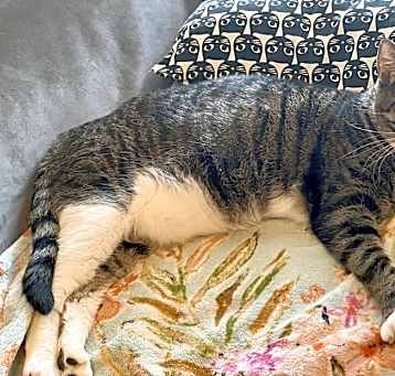 Photo of Bilbo
