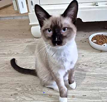 Photo of Spike
