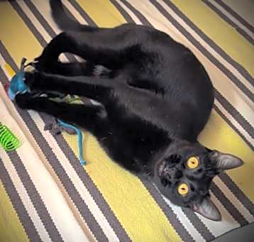 Photo of Penelope