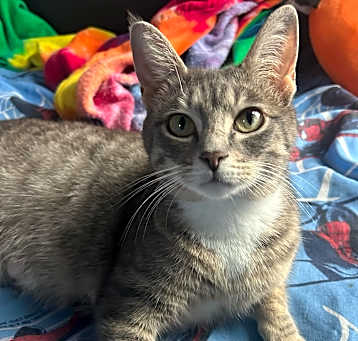 Photo of Meredith