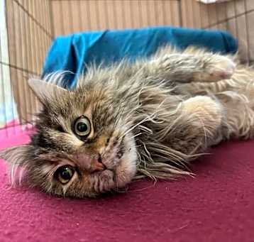 Photo of Meredith
