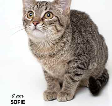 Photo of Sofie