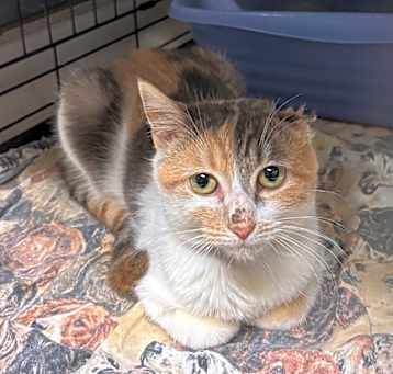 Photo of Polly