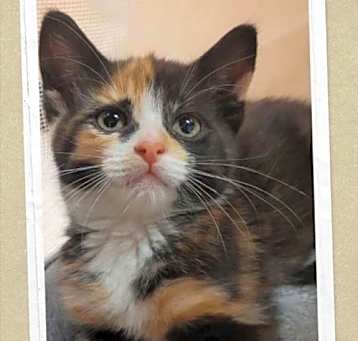 Photo of Prudence