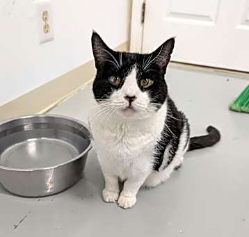 Photo of Petey