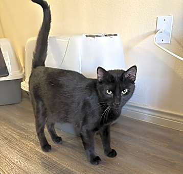 Photo of Junior