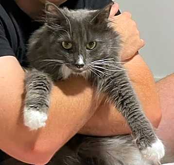 Photo of Teddy