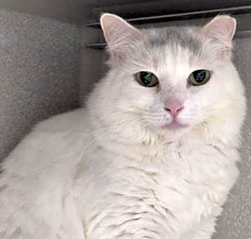 Photo of ATHENA