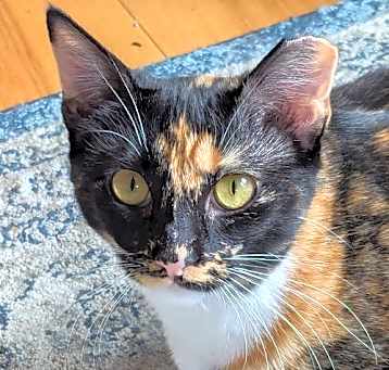 Photo of Lucy