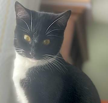 Photo of Monique