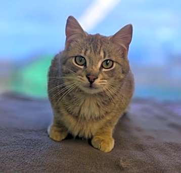 Photo of Brewster