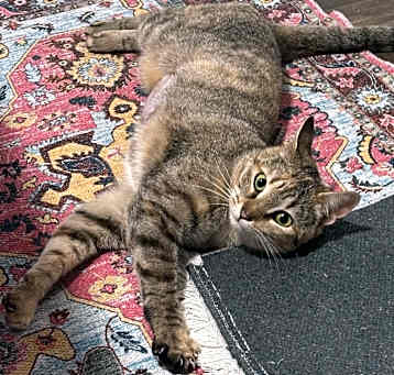 Photo of Famous