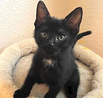Photo of Margarita 