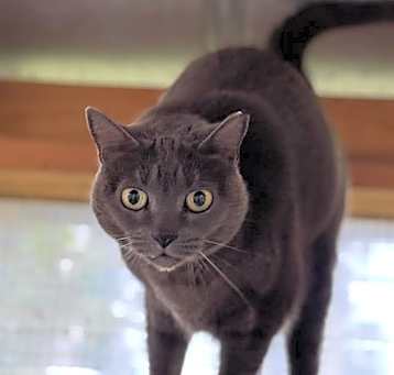 Photo of JENNIFUR