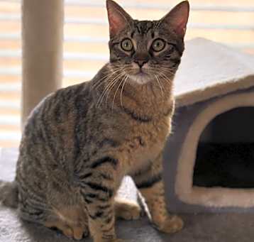 Photo of Hercules