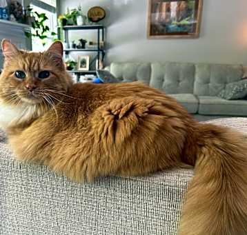Photo of Abby