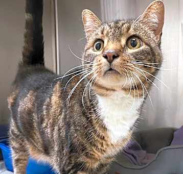Photo of BOXCAR