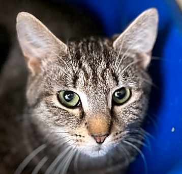 Photo of Delilah