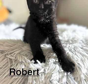 Photo of Robert