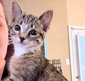 Photo of Nixie