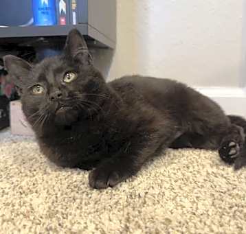 Photo of Fran