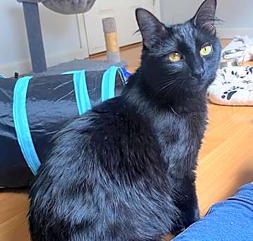Photo of Missy