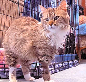 Photo of Sassy