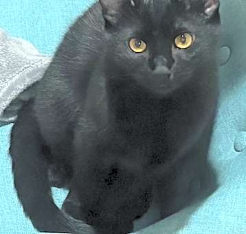 Photo of Jasper