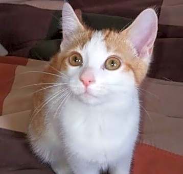 Photo of Lillith