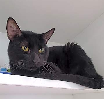 Photo of JASPER