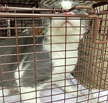 Photo of A2230519