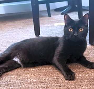 Photo of Harry the Hygenist