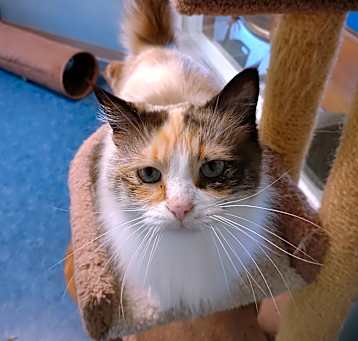 Photo of Seraphina