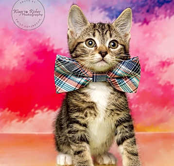 Photo of Sheldon