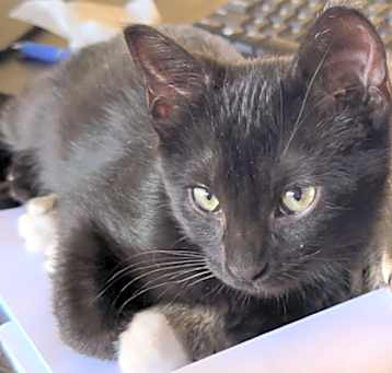 Photo of Booger
