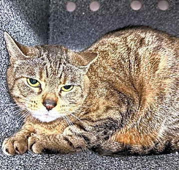 Photo of Kira