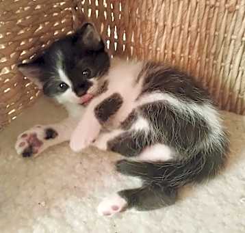 Photo of Baby Carlos