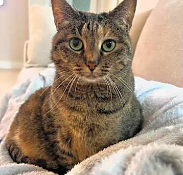 Photo of Willow